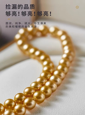 消失的她倪妮同款项链南洋浓金珍珠项链女气质法式高级感锁骨链女