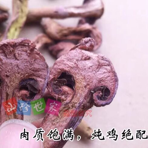 2025年东北特产红蘑菇干货 松蘑 肉蘑松伞蘑 红蘑包邮 - 图0