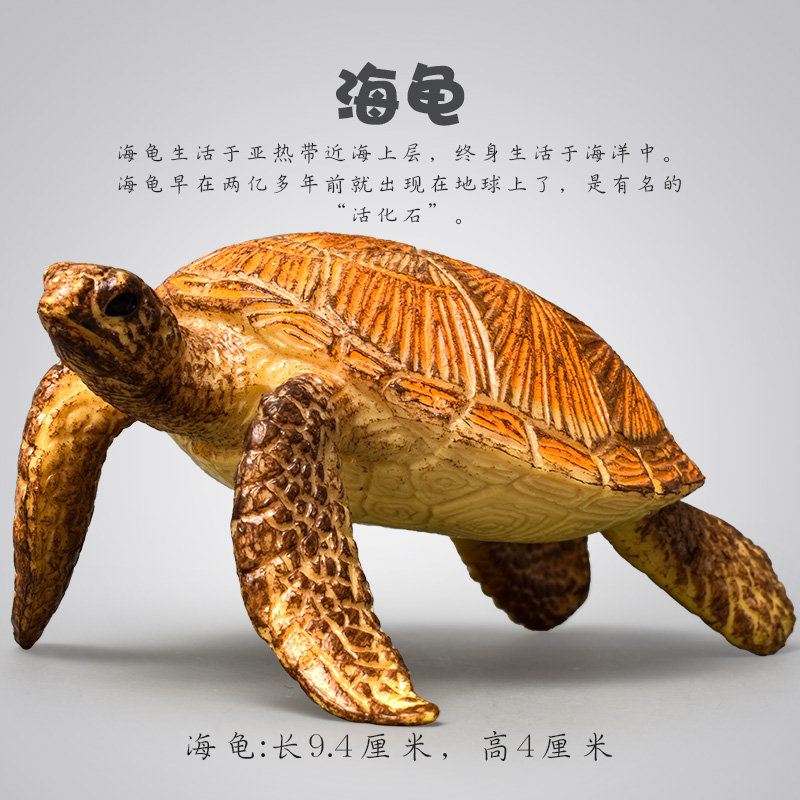 海洋儿童玩具仿真动物生物模型鲨鱼海豚抹香鲸虎鲸螃蟹早教宝宝 - 图2