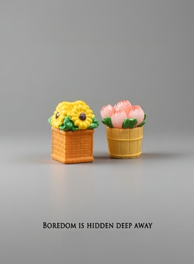 无聊了！摆几棵鲜花仙人掌