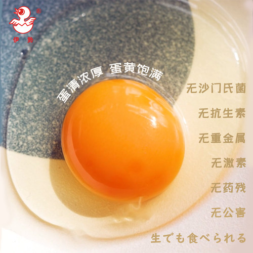90个装日本伊势可生食生吃鸡蛋新鲜无激素无菌鸡蛋料理烘焙 顺丰 - 图0