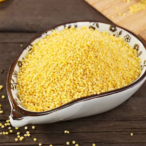 新疆天山小米 黄小米 真空包装 杂粮500g*2袋 - 图2