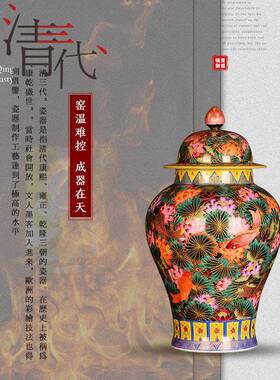 艾饰佳景德镇陶瓷器手绘珐琅彩将军罐家居新中式客厅玄关装饰摆件
