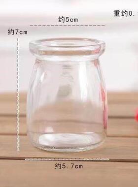 多肉水培花瓶 水培玻璃花瓶杯子ins高颜值便宜布丁杯