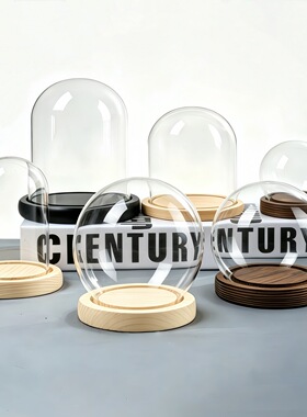 纪念蝴蝶标本玻璃罩木塞干花玻璃罩核雕展示盒玫瑰花束迷你公仔