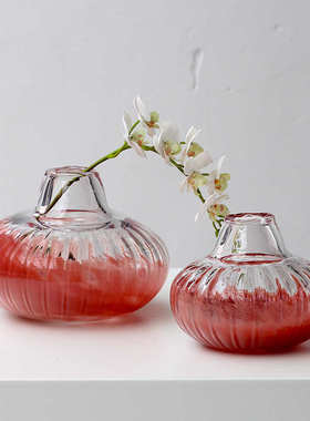 碧轩批发水培创意石榴红小口南瓜花瓶客厅软装家居装饰品透明摆件