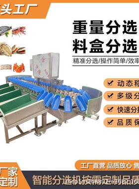 工厂直供重量分选机海参生蚝分选级机水果称重机材人参挑选机