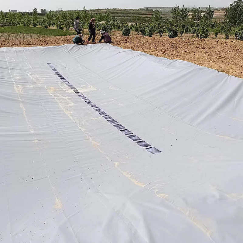 集雨水窖干旱地区山区雨水收集水池 可折叠地埋式软体PVC储水袋,淘宝优惠券,粉丝福利购,淘宝优惠卷