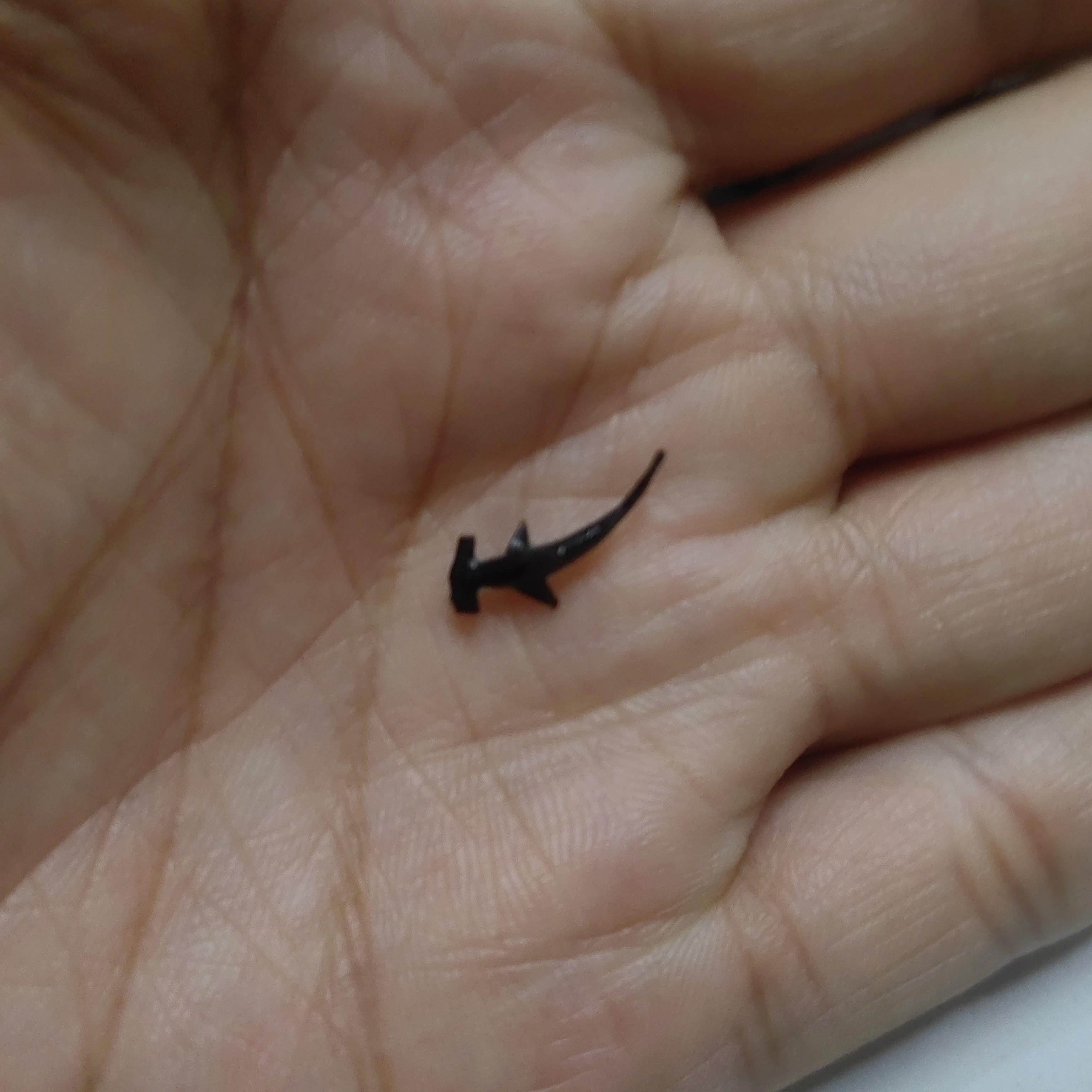 微缩道具鲸鳄鲨鱼锤头鲨大白迷你鱼缸摆件微缩景观配件diy高级小,淘宝优惠券,粉丝福利购,淘宝优惠卷