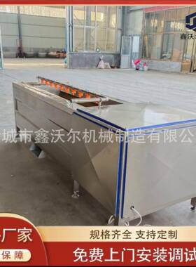 商用果蔬自动去皮清洗机大姜土豆清洗去皮机毛辊清洗机
