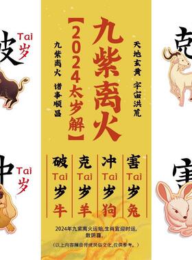 九紫离火手绳手链本命年红绳手链生肖太岁手绳红绳手工精编