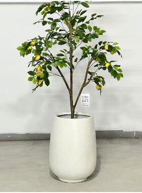 现代简约轻奢镁泥特大号大口径花盆高筒种树客厅摆件展厅设计商场