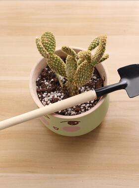 多肉植物园艺松土工具套装盆栽种花养花铲子花锹耙子三件套用品
