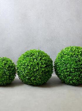 彷真花艺尤加利草球苔藓花球绿色植物室内挂饰装饰品落地花瓶摆件