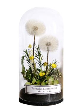 植物永恒的礼物花园斯堪的纳维亚干花家玻璃盖标本展示珠宝研究装
