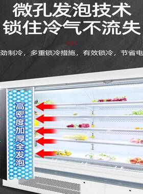 商用风幕柜超市水果保鲜冷藏展示柜蔬菜立式冷藏柜风冷点菜柜