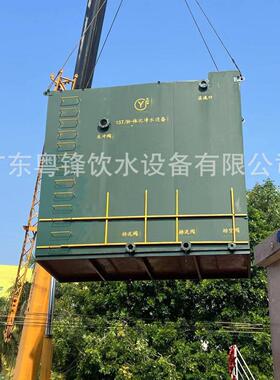 自动一体化净水设备井水河水一体式净水站水库农村生活饮用水设备