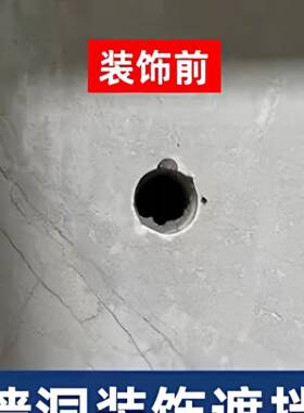 压克力立体壁贴植物花卉墙面遮丑贴画补洞神器装饰挡板盖板高级感