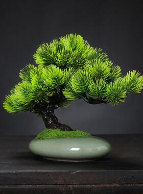 彷真绿色植物迎客松盆景摆件假树松发财树小盆栽植物室内装饰桌面