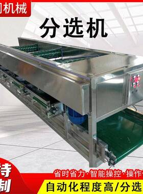 全自动孔带式大蒜分选机商用香菇分选分级设备苹果多级分级机
