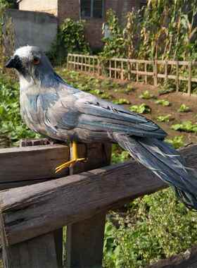 仿真羽毛鸽子家居摆件和平白鸽场景布置婚庆装饰摄影道具动物模型