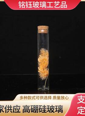 玻璃试管干花成品收纳摆件 办公室客厅工艺品花瓶玻璃摆件玻璃罩