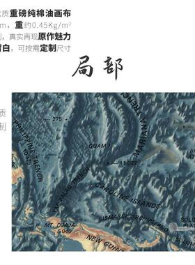 世界洋流图海底地貌地形图高清定制尺寸大小布画 画芯客厅装饰画
