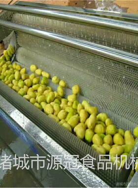 地瓜毛辊清洗机芥菜土豆毛辊去皮清洗机猪蹄羊蹄根茎类毛刷清洗机