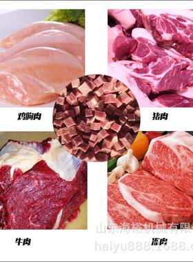 商用鱿鱼丁切丁机械不锈钢牛肉粒切丁机全自动鲜猪肉肉切肉机