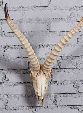 牛头装饰挂件骨客创意AMT012玄关墙上动物头仿古牛头骨壁挂饭厅店