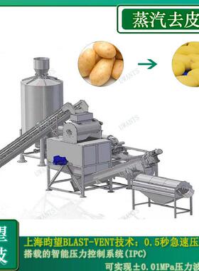 厂家直销土豆蒸汽去皮机  毛刷快速去皮设备  去皮干净不损伤食材