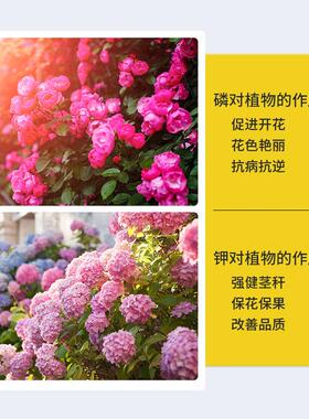 厂家壮根促花粉植物生根粉营养剂养花种菜蛋壳粉骨粉通用型