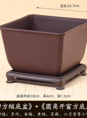 发财树塑料盆创意方形花盆花瓶