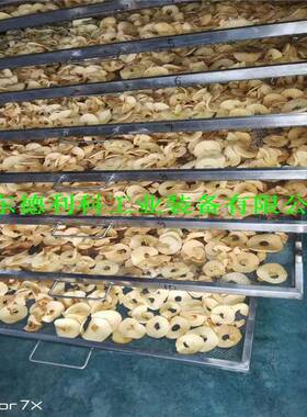 好果源苹果脆片变温压差膨化设备低温脱水闪蒸纯物理膨化