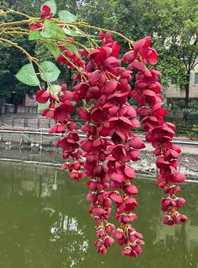 花艺师推荐新款6叉阿勃勒仿真花婚礼堂吊顶紫藤花铃兰风铃软装花