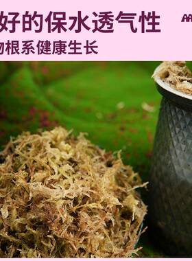 特优级水苔蝴蝶兰专用营养土石斛兰花栽培基质造景乌龟蛇爬宠垫材