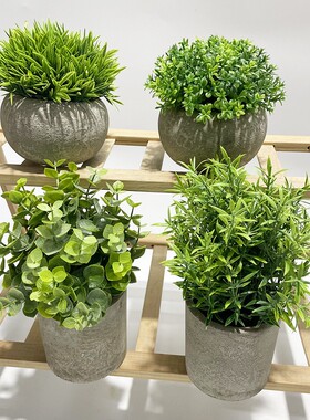 跨境亚马逊热销仿真人造桉树叶盆栽桌面摆件绿色植物装饰厂家