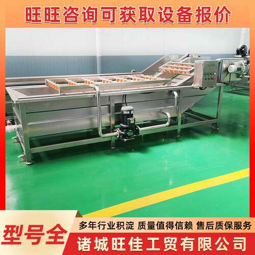 蔬菜气泡清洗设备金桔冬枣喷淋式清洗机不锈钢苹果果蔬清洗线 - 图1