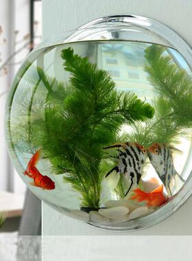 乔迁搬家新家客厅墙上水培绿色植物装饰创意厨房卫生间壁挂鱼缸