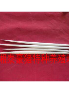 养殖纯白色豪猪刺鱼漂，发簪，茶针限量