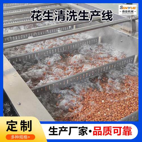 全自动大米清洗机谷物清洗机洗米机洗豆机高粱玉米粒气泡清洗机 - 图0