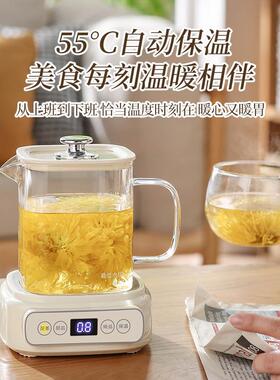 多功能保温炖煮一体全自动玻璃养生壶小型一人煮花茶养生壶煮水壶