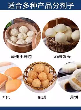 工厂自动翻转式翻缸和面机双速双动商用小笼包老面打碱机
