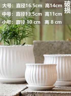 TEMU蝴蝶兰花盆陶瓷清仓大号花瓶