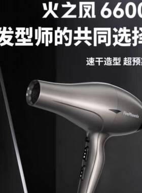 火之凤6600H+电吹风筒发廊专用大功率无刷电机吹风机发型师家用