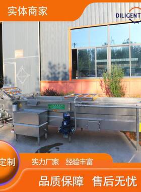 全自动气泡清洗机叶类蔬菜清洗机预制菜设备果蔬清洗机