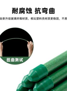 【植物支伸缩杆】花架固定器园艺扶持架花卉防倒伏爬藤神器兰花支