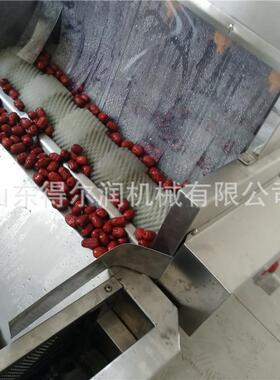 供应大枣清洗机 酸枣清洗风干线 灰枣加工成套设备 得尔润机械