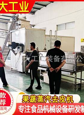 西红柿圣女果蒸汽去皮机智能控压果蔬规模化连续式去皮加工设