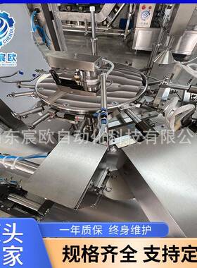 土豆丝包装机预制菜给袋式包装机氮气果干全自动给袋式包装机